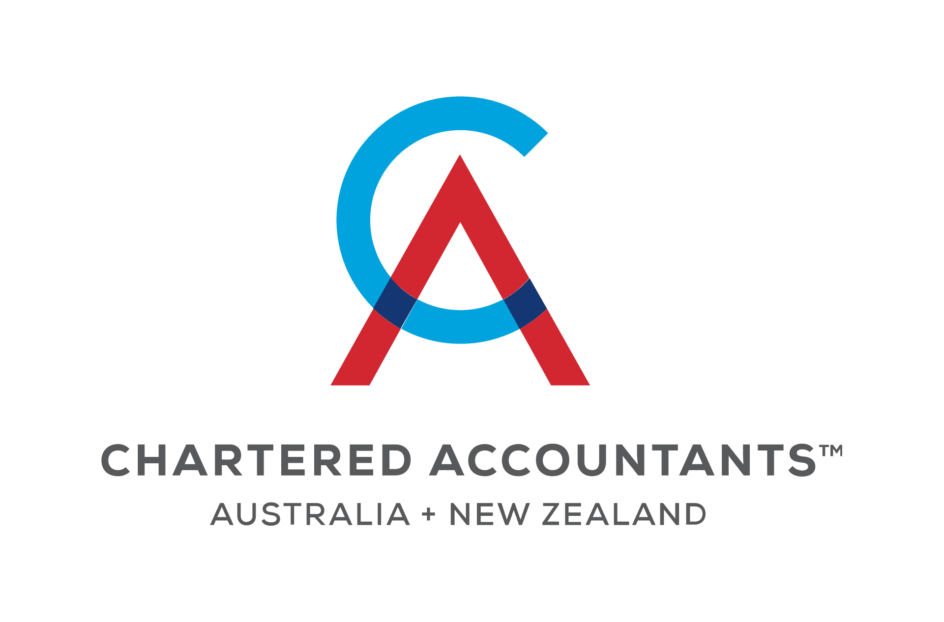 Chartered Accountant