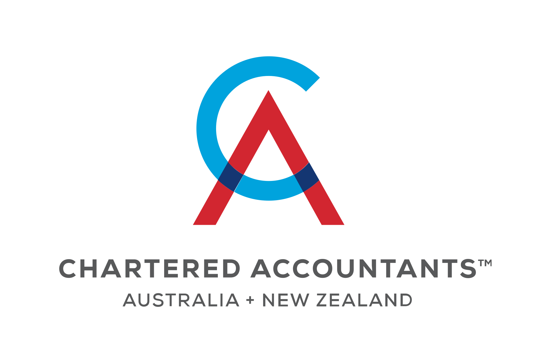 Chartered Accountant