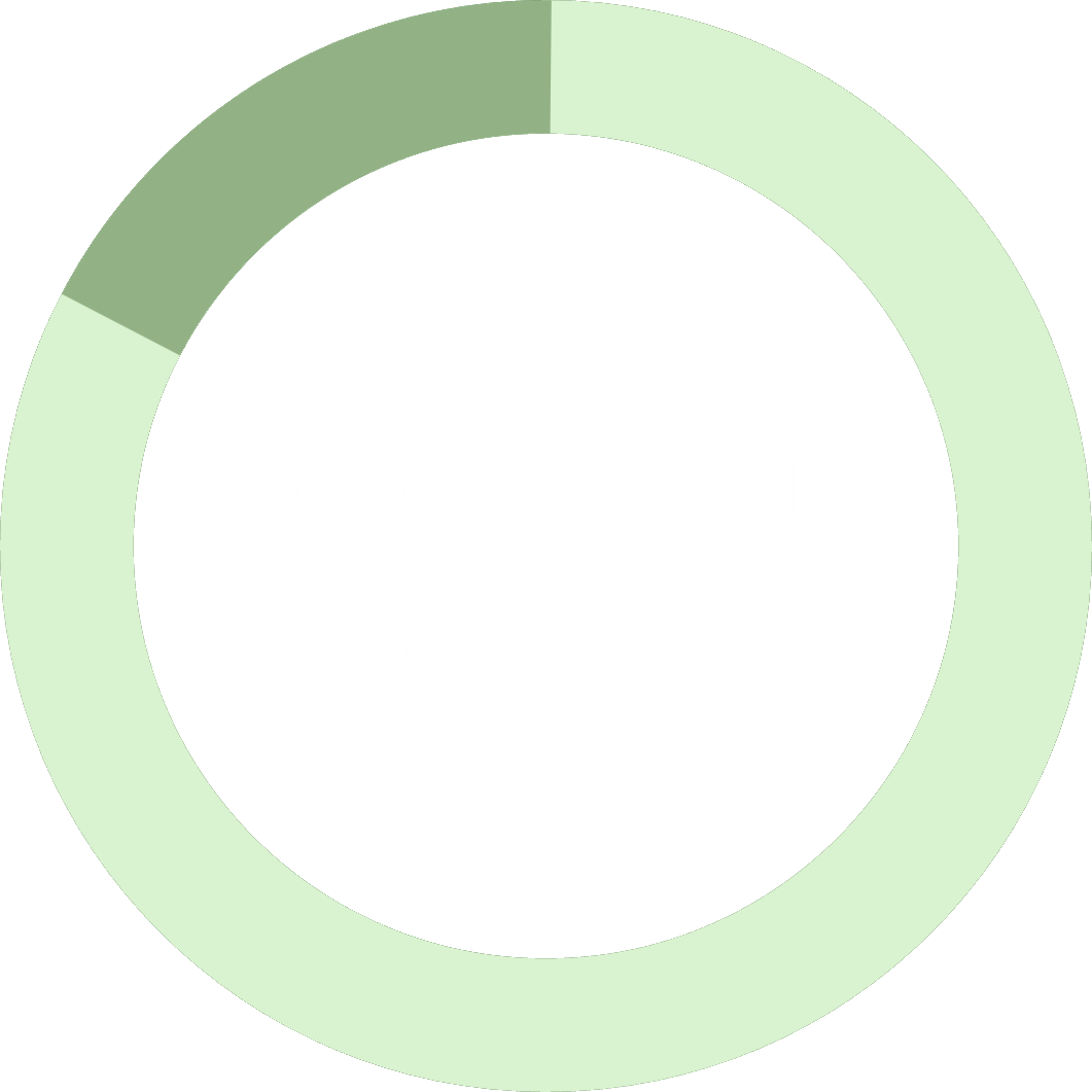 80% of Business Pain Points Solved with Excel.